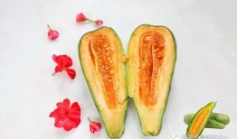 怀仁最近网红大瓜